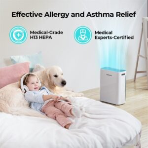 61rveotg54l. Ac Sl1001 .jpg