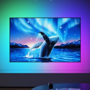 61fh8rcpqyl. Ac Sl1500 .jpg