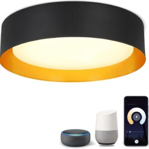 Depuley 30W Smart WiFi LED Recessed Ceiling Light APP Remote Control…