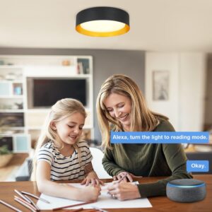 71ibptdcn0l. Ac Sl1500 .jpg