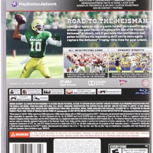 91p0wcjyoml. Sl1500 .jpg