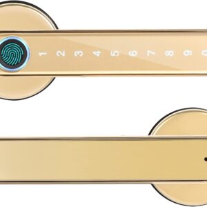 4 in 1 Keyless Entry Smart Lock, Fingerprint + Code + Mechanical Lock