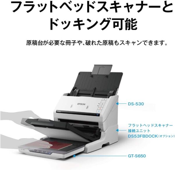 61inl7pvfql. Ac Sl1000 .jpg