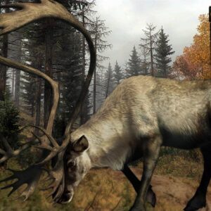 81wap H6okl. Sl1500 .jpg