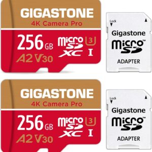 [5 Years Free Data Recovery] Gigastone 256GB Memory card 2 p …