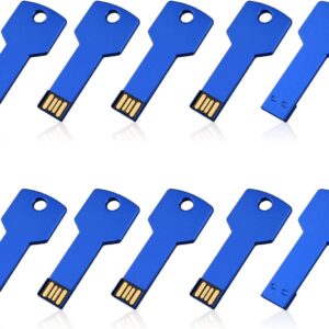 RAOYI 10 PACK 32GB USB FLASH DRIVE USB 2.0 METAL KEY FORM M …