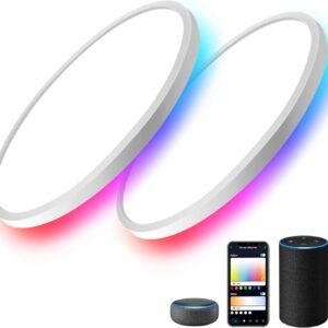 Melegan 2pcs RGB Smart roof light, super thin Flush m …