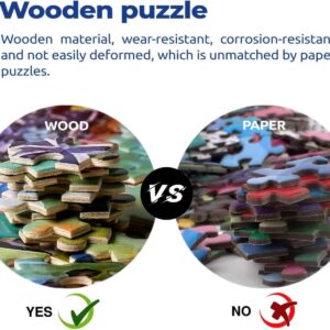 711uJx8Y0VL. AC SL1393 .jpg