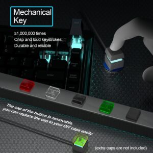 71bXFdwMjL. SL1500 .jpg