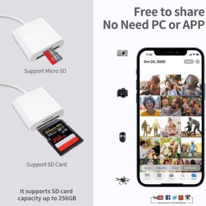 71zVZt1f cL. AC SL1500 .jpg