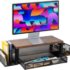 Riser 2 level monitor and computer desktop organizer with DR …