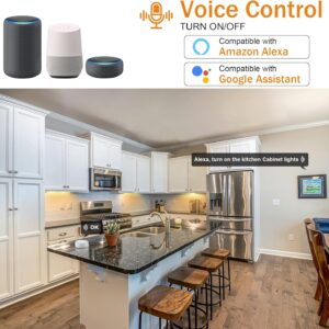 81ucALmpWfL. AC SL1500 .jpg