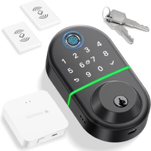 Wi -Fi Smart Deadbolt Wife – Hailed input Dactillary Prina …