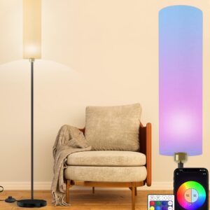 The smart Smil lamp works with Alexa and Google Home, Chang color …